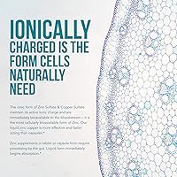 Vista 7 de Ionic Zinc Plus Copper Liquid Concentrate 240 Servings, Glass Bottle, Vegan - Balanced Ratio of Zinc Copper - Supports Immunity, Brain Thyroid