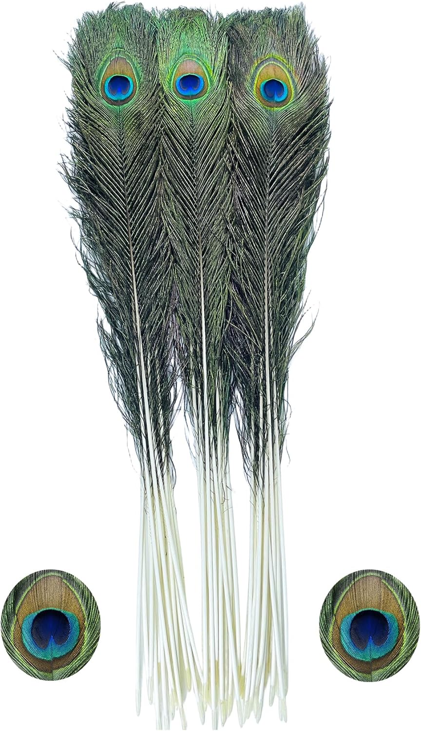 Bulk Natural Peacock Feathers30Pcs 3035in (7690 cm),Long