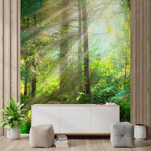Miniatura 9 de wall26 Adhesivo mural removible Camino brumoso a través del bosque de árboles verdes, naturaleza, desierto, fotografía, realismo, paisaje rústico,