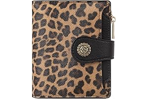 Credit Card Holder with Cheetah Print, RFID blocking Coin Purse