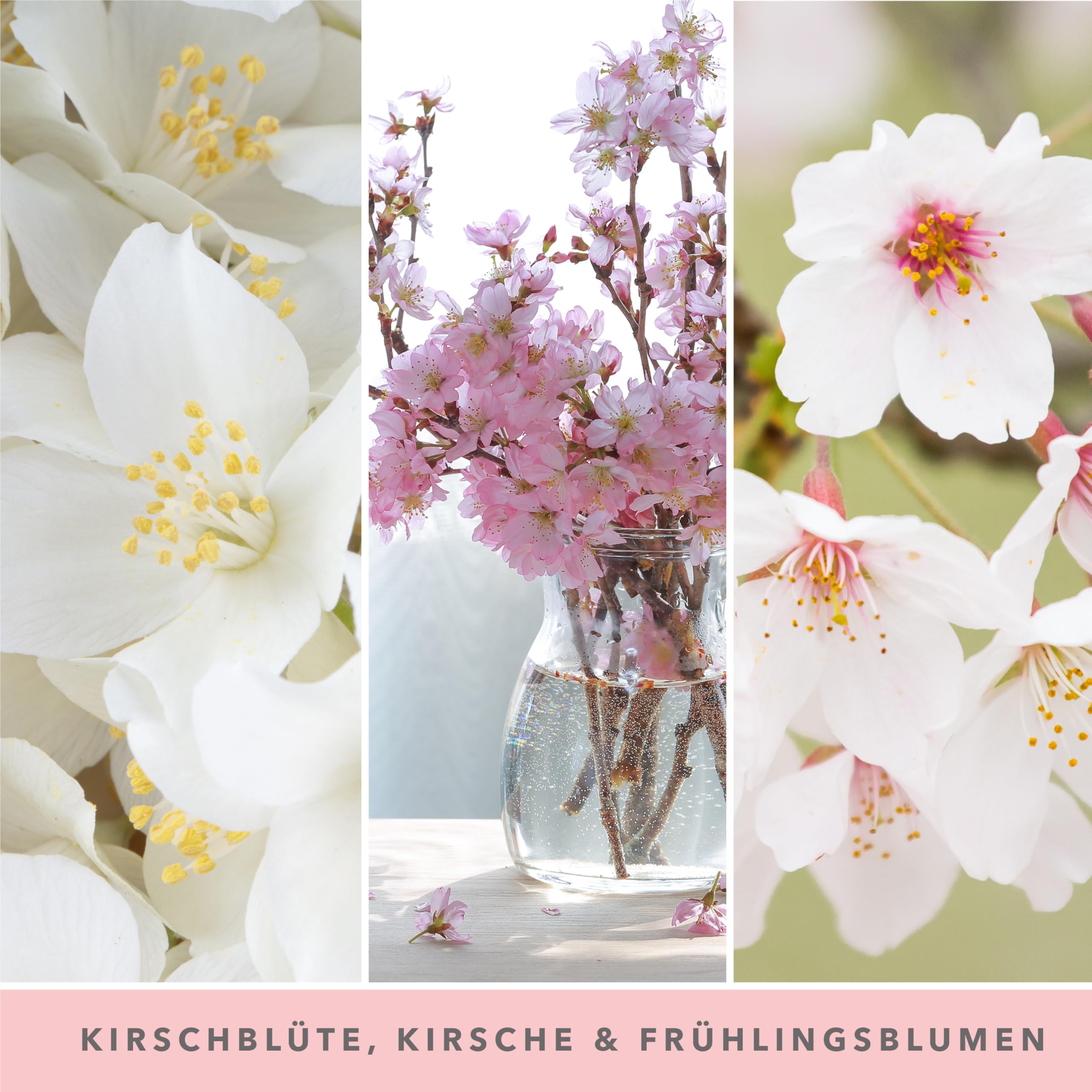 Yankee Candle Duftkerze im Glas (groß) | Cherry Blossom | Brenndauer bis zu 150 Stunden | Perfekte Geschenke für Frauen Ansicht 2