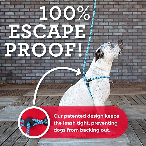 Miniatura 8 de Harness Lead Juego de arnés y correa para perro sin tirones, arnés antitirones para todas las razas y tamaños, diseño de cuerda acolchada de una