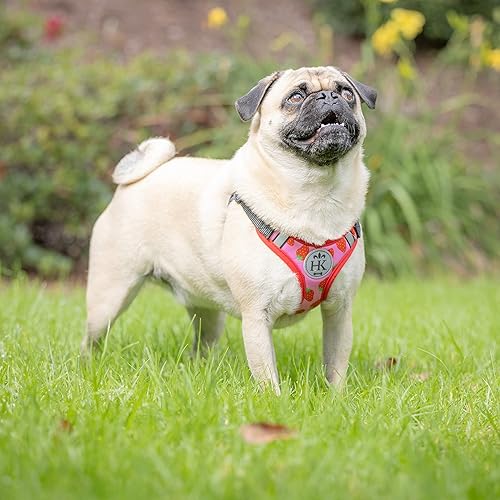 Miniatura 7 de Huxley & Kent Scout LoPro Arnés  Fresa (extra pequeño, 4-8 libras)  Arnés de malla fácil de controlar para perros con tiras reflectantes para