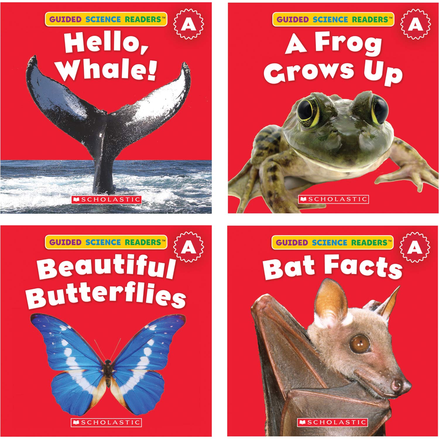 絵本・児童書 Scholastic Guided Science Readers Guided Science Readers Parent Pack: Levels E-F by Liza