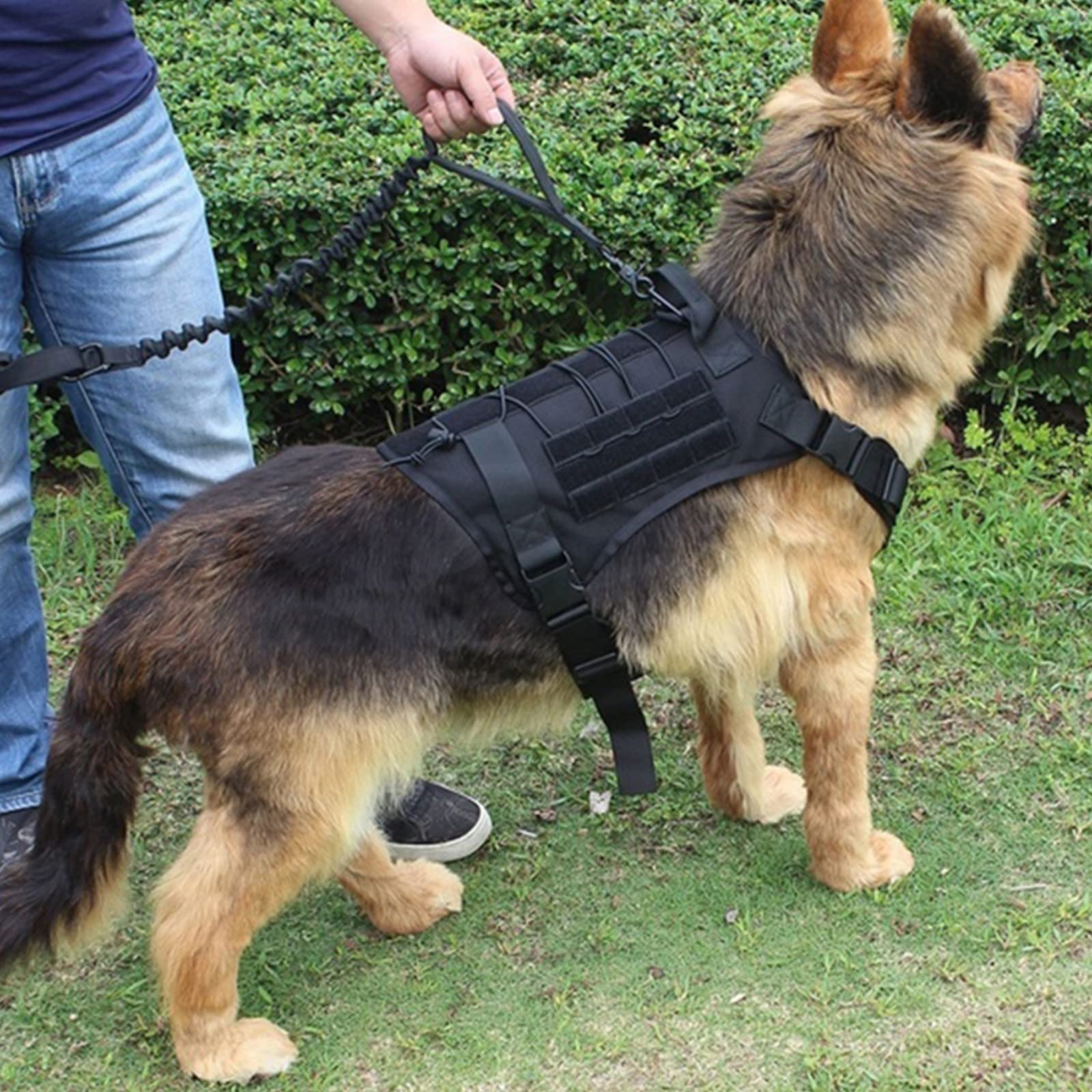 Pettorina Tattica per Cani con Custodie, Pettorina per Cani di Servizio con 2 Toppe Rimovibili Ad Anello, Pettorina Militare Regolabile Senza Tirare, Gilet Molle per Cani da Lavoro,Nero,M
