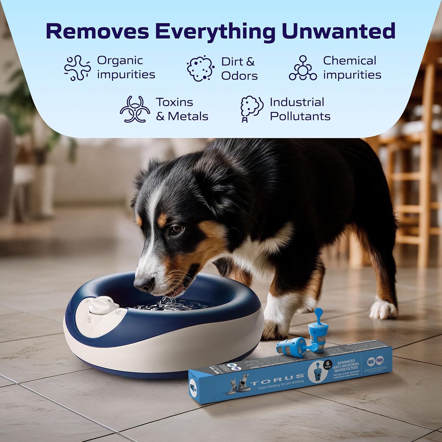 Advanced Replacement Filter (6-Pack), Replacement Water Filters with Activated Carbon Cleantech Innovation, Stainless Steel Filtration Water Dispenser, 6-Month Supply