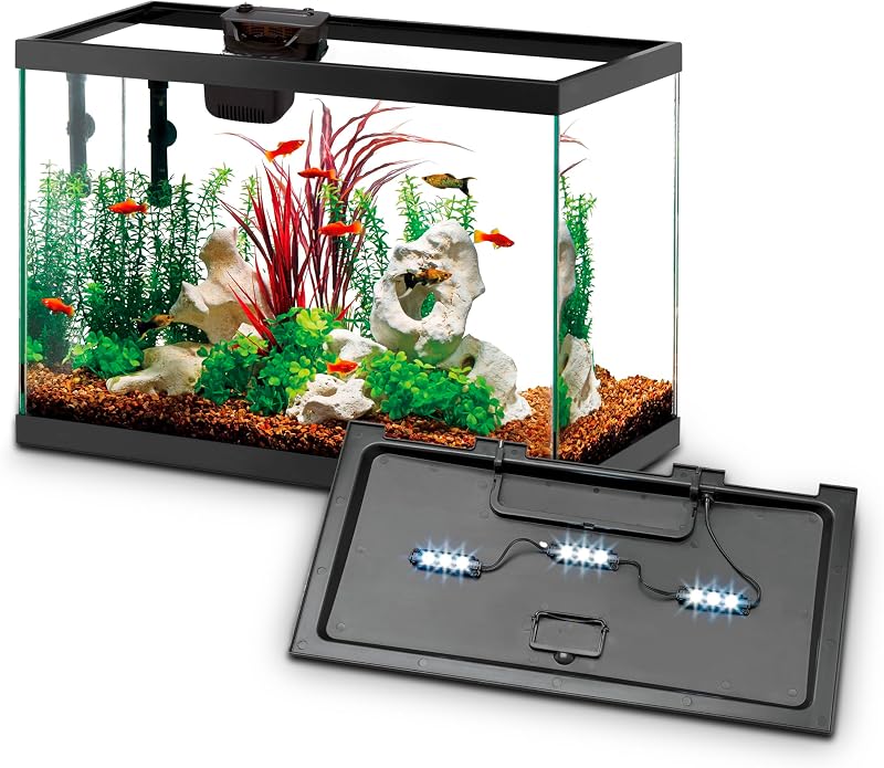 Kit de inicio para acuario con filtración Smart Clean e iluminación LED, peces de agua dulce y salada, perfecto para tetras, guppies, platies, 10 galones