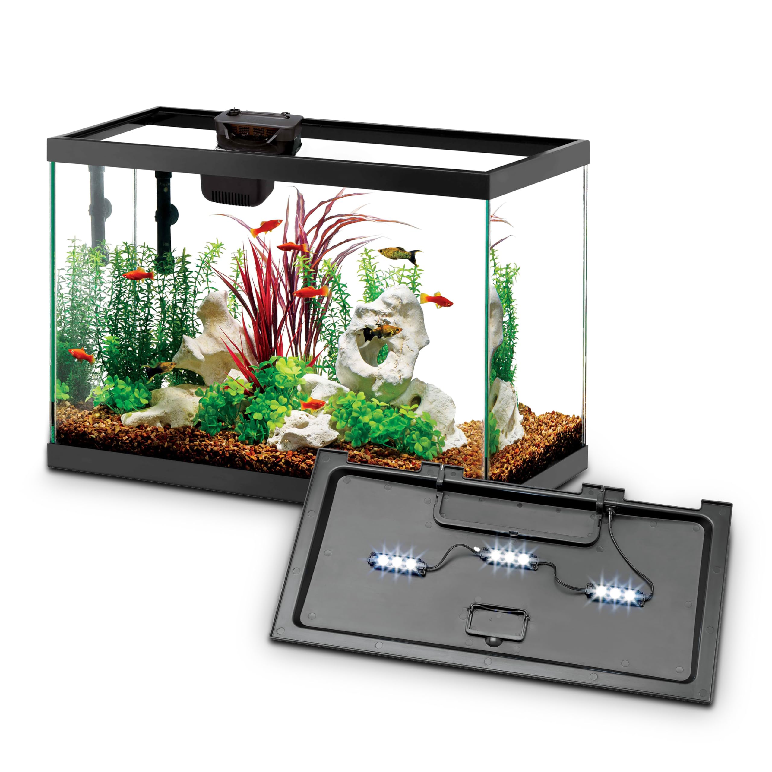 Aqueon 10-Gal Starter