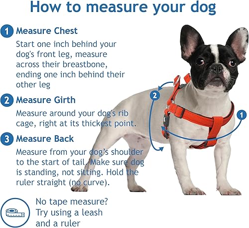 Miniatura 2 de Kruz - Arnés original resistente sin tirones para perro, ultra cómodo, duradero de por vida, arnés para mascotas para razas pequeñas y medianas