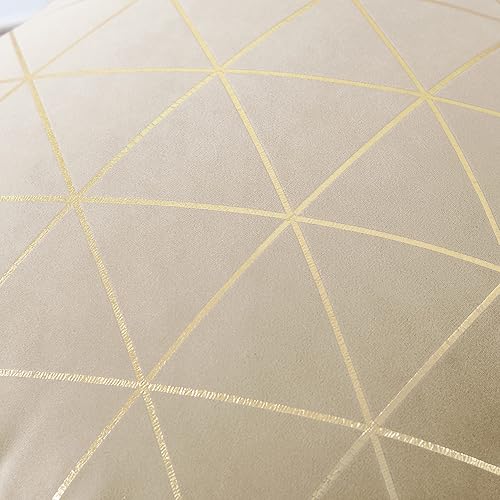 Miniatura 3 de NordECO HOME Juego de 2 fundas de almohada decorativas, fundas de almohada de terciopelo suave para cama, automóvil, decoración del hogar, 16 x 16