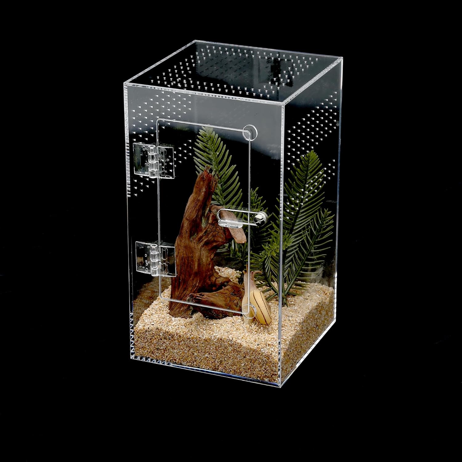 Acrylic Tarantula Enclosure Jumping Spider Enclosure with Front Opening Door 5.3 * 5.3 * 9 Inches Micro Habitat Terrarium for Small Tree Dwelling Reptiles, Spiders & Invertebrates (Enclosure&Feeder)