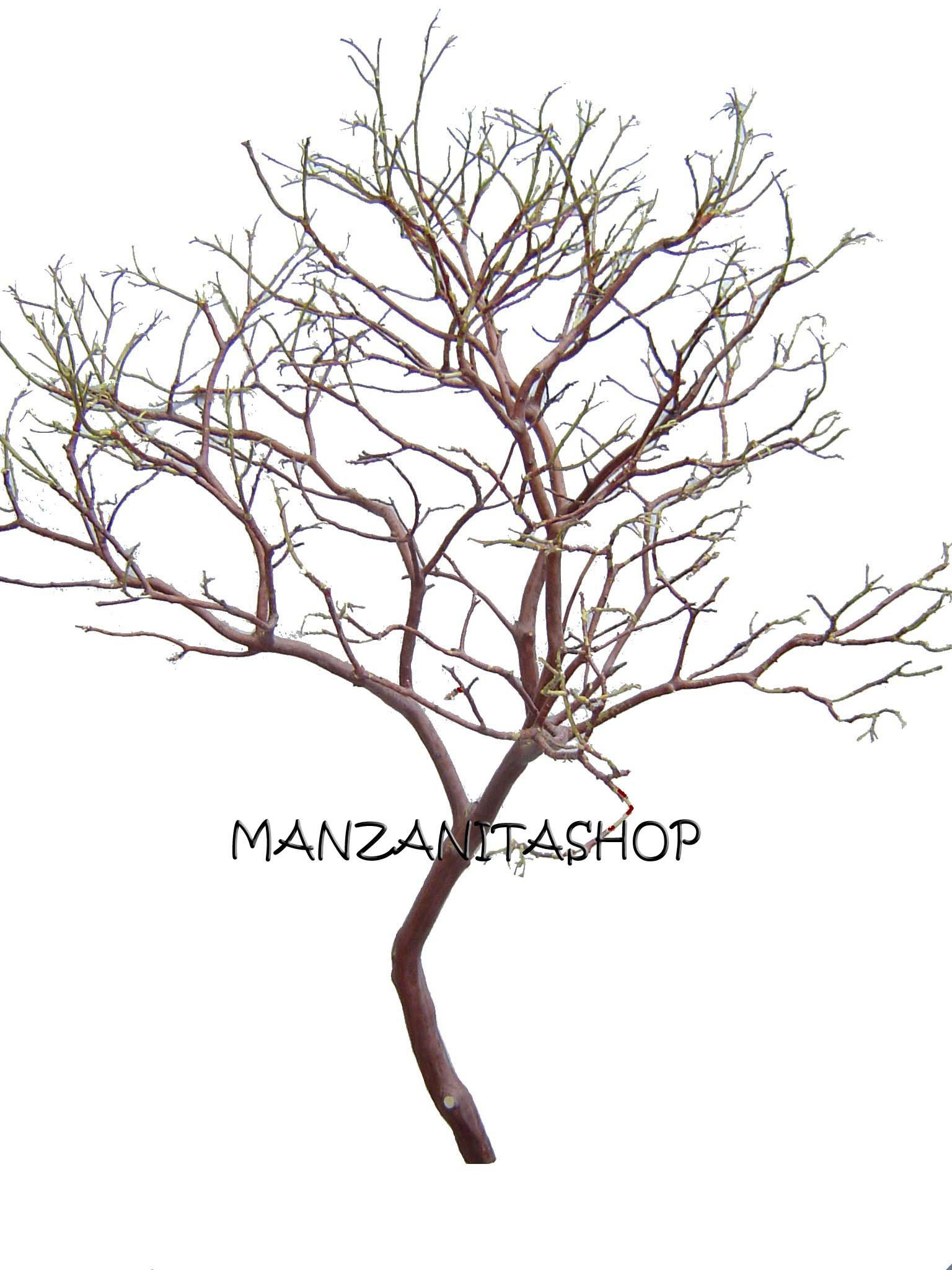 Brand Centerpieces 2-pack 28"- 30" Natural