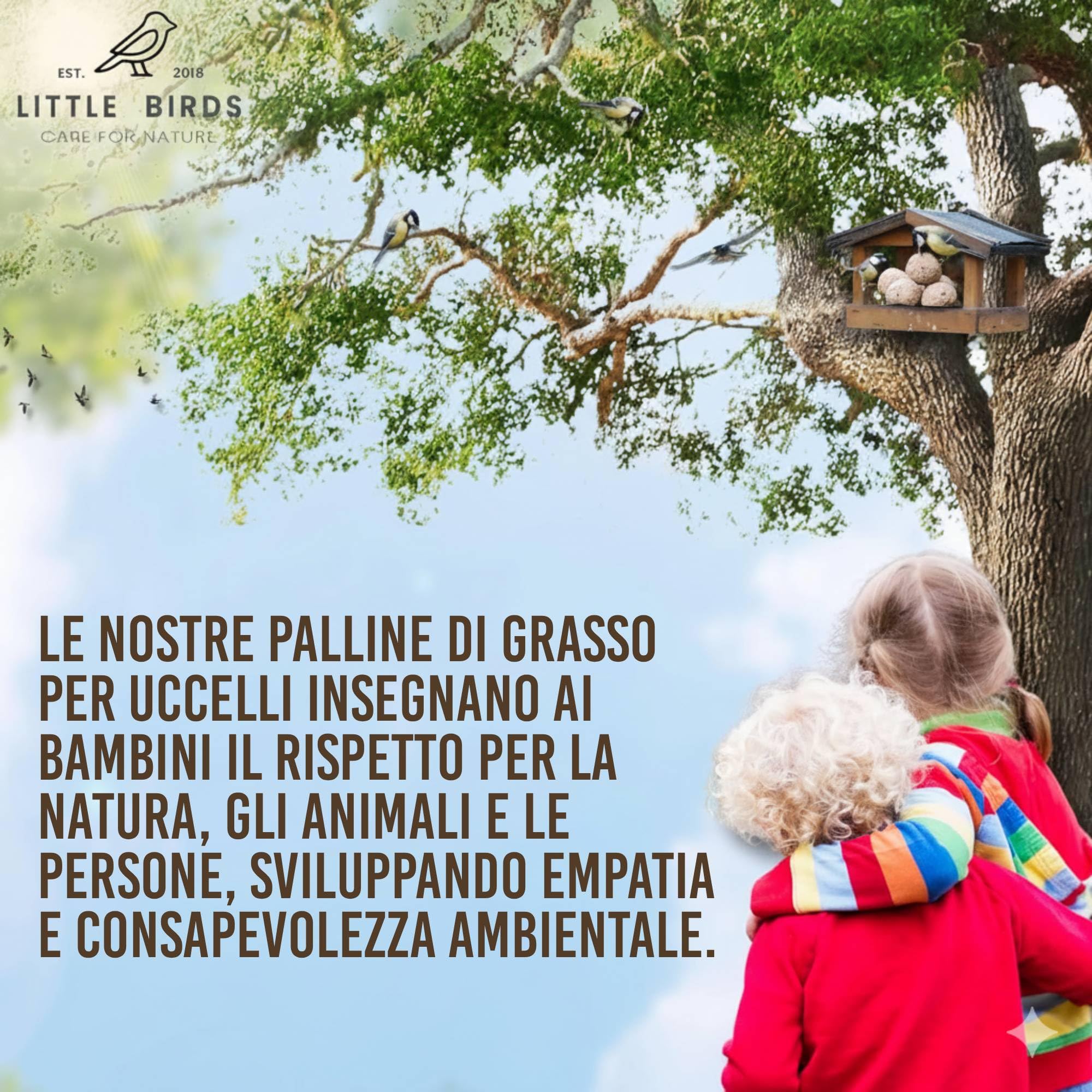 Care4Nature 100 Palline di Grasso per Uccelli Selvatici - Ingredienti Naturali
