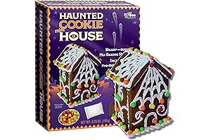 Bee International Reusable Gingerbread House Kit With White and Green Frosting - Spooky House