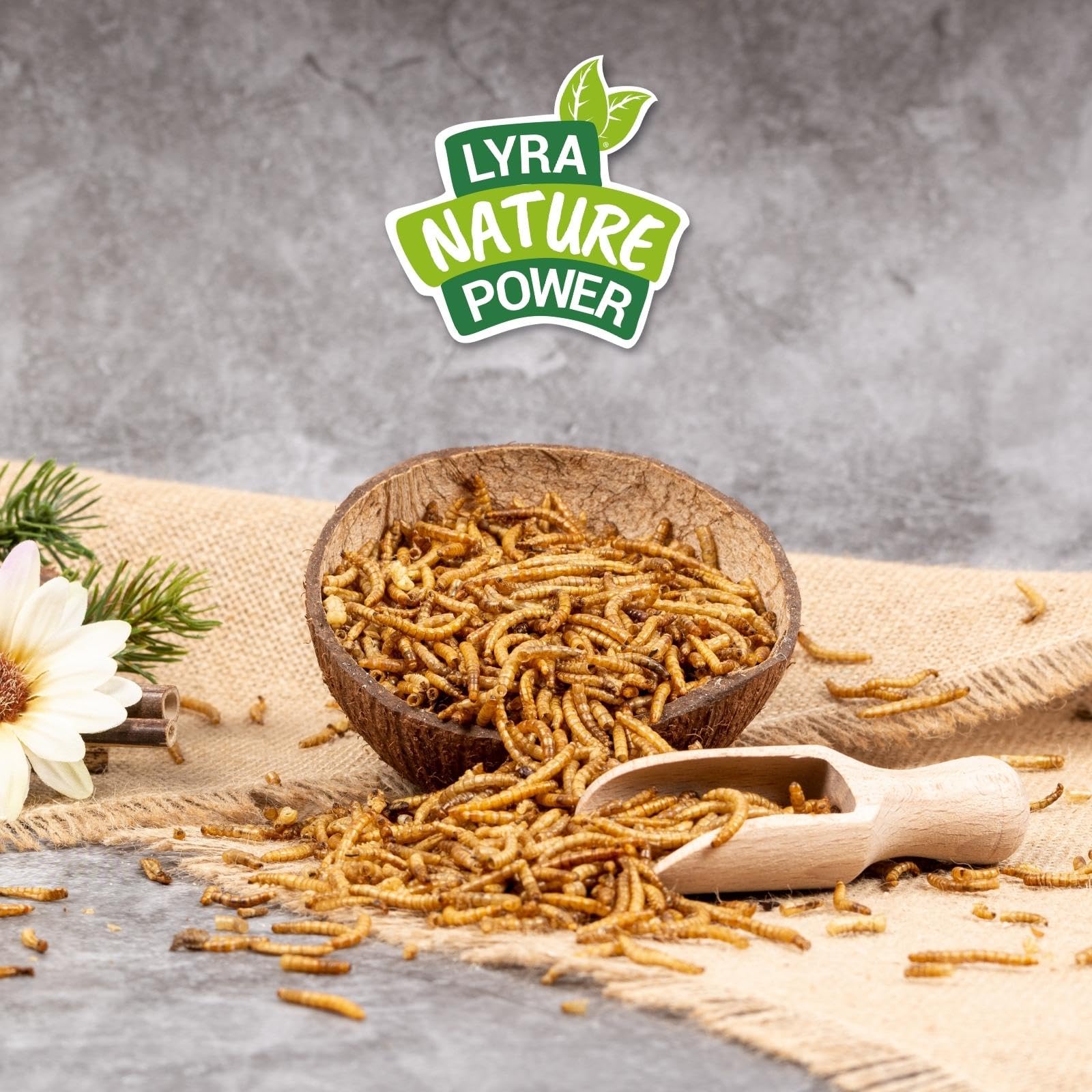 Lyra Pet® 10 kg Mehlwürmer getrocknet Futter für Wildvögel Nager Reptilien | Proteinreiches Vogelfutter - Nahrhafter Energiespender für Insektenfresser - Vitamine & Mineralstoffe - Für viele Tiere