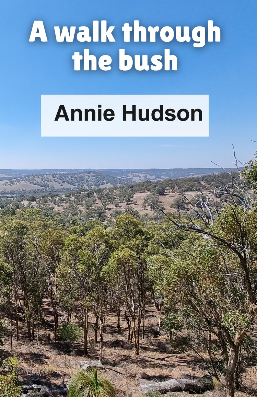 A walk through the bush (a book for dementia patients and those with memory loss)