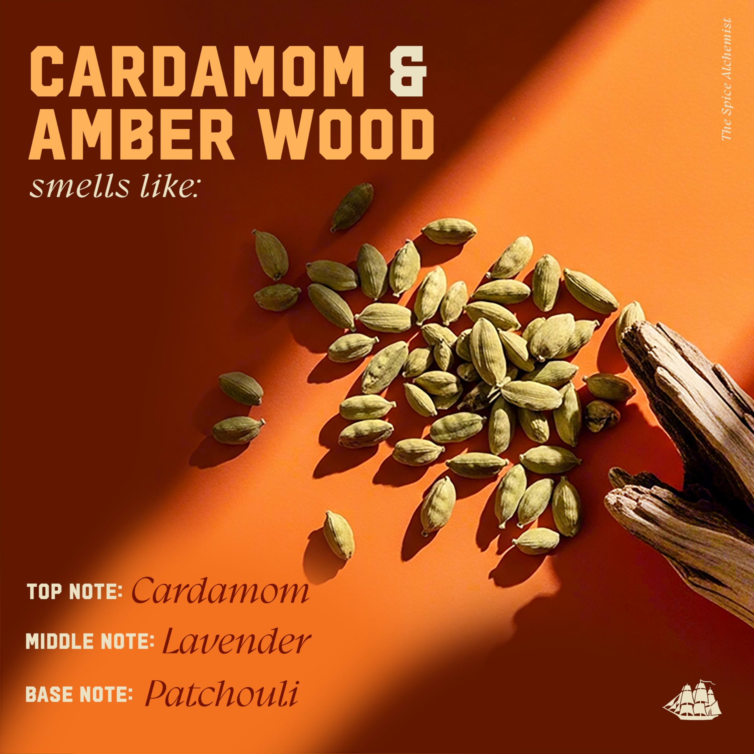 Old Spice Men's Shampoo, The Spice Alchemist Collection, Cologne-Infused Cardamom and Amber Wood Scent, Free of Parabens & Phthalates, 21.9 fl oz