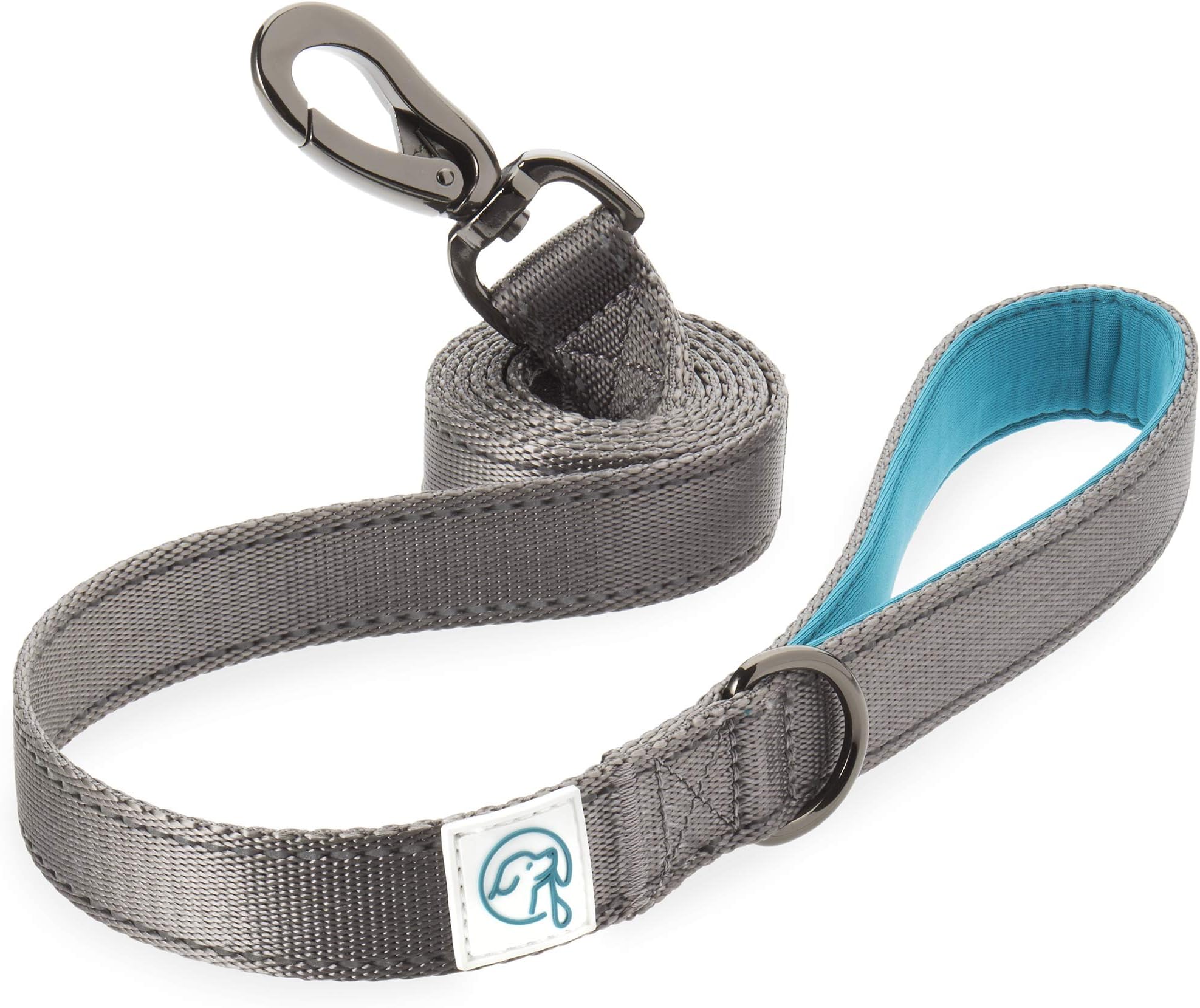 Embark Adventure Dog Lead - Strong & Sturdy Nylon Leash for Small, Medium & Large Breed Dogs - Heavy Duty Dog Training Lead (Blue)