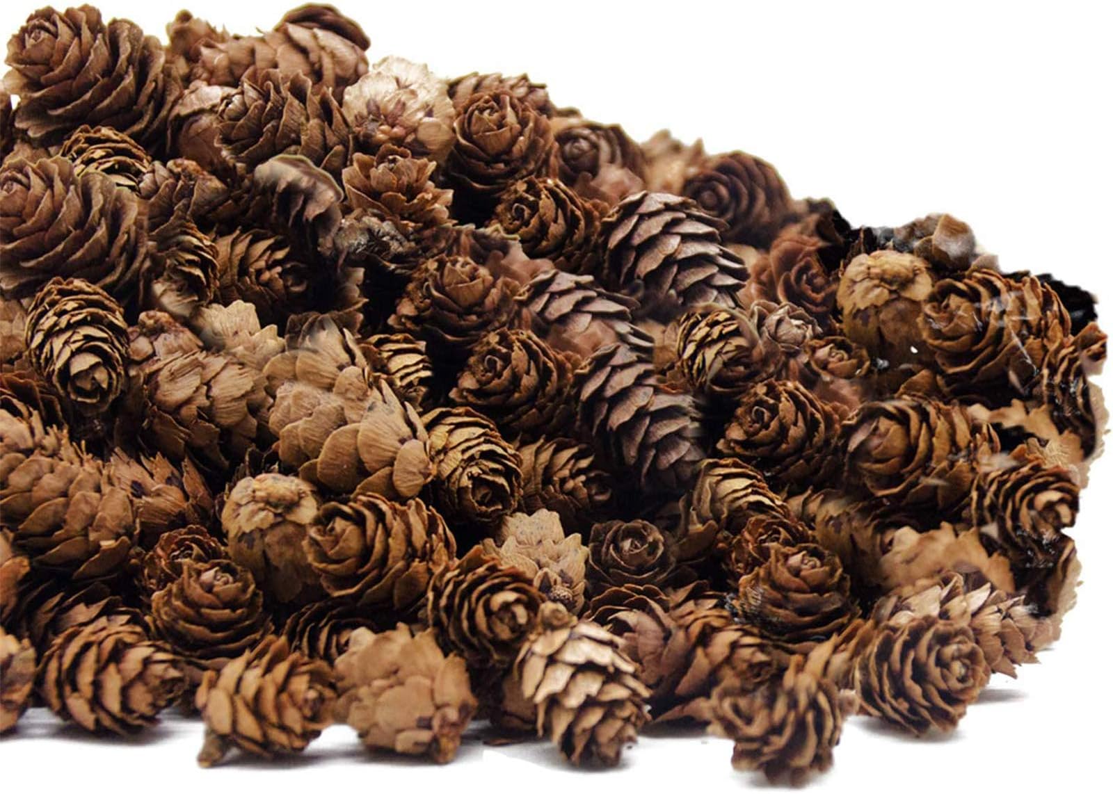 250 PCS Christmas Natural Mini Pine Cones-Thanksgiving Pinecones Ornaments for DIY Crafts, Home Decorations,Fall and Christmas,Wedding Decor