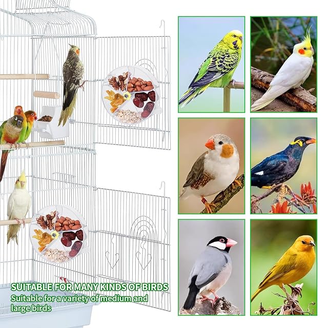 Foto 4 de 8 de momgyaamz Juguete Loro, Acrílico Juguete Pájaros, Giratorio Loros Masticar Juguetes, Juguete Alimentación Loro