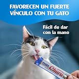 Ver la foto 4