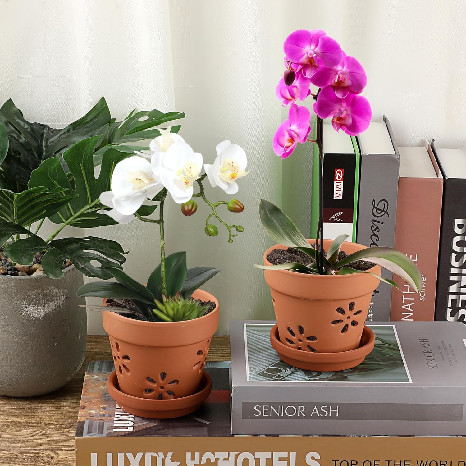 JUXYES Pack of 6 Small Terracotta Orchid Pots with Holes and Saucers, 4-Inch Clay Planter Pots for Indoor and Outdoor Use, Promotes Air Circulation