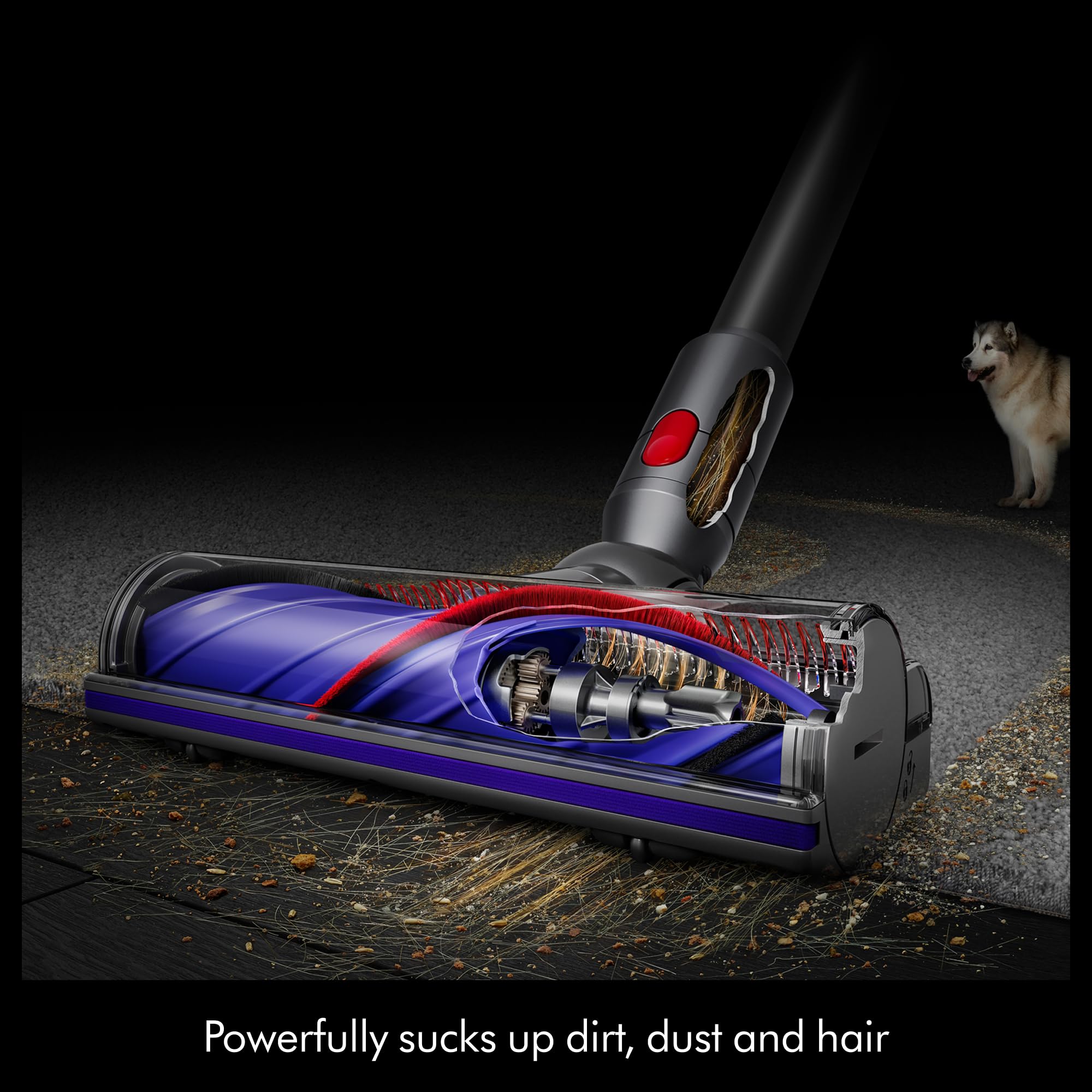 Cyclone V10 Origin Cordless Vacuum thumbnail 10