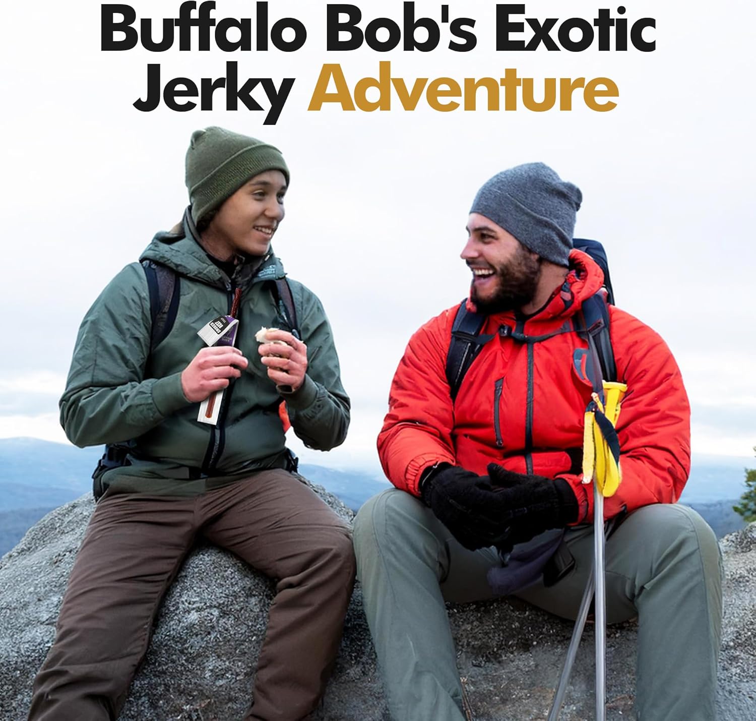 Wild Ge Exotic Meat Stis () | Ultimate Beef Jerky |