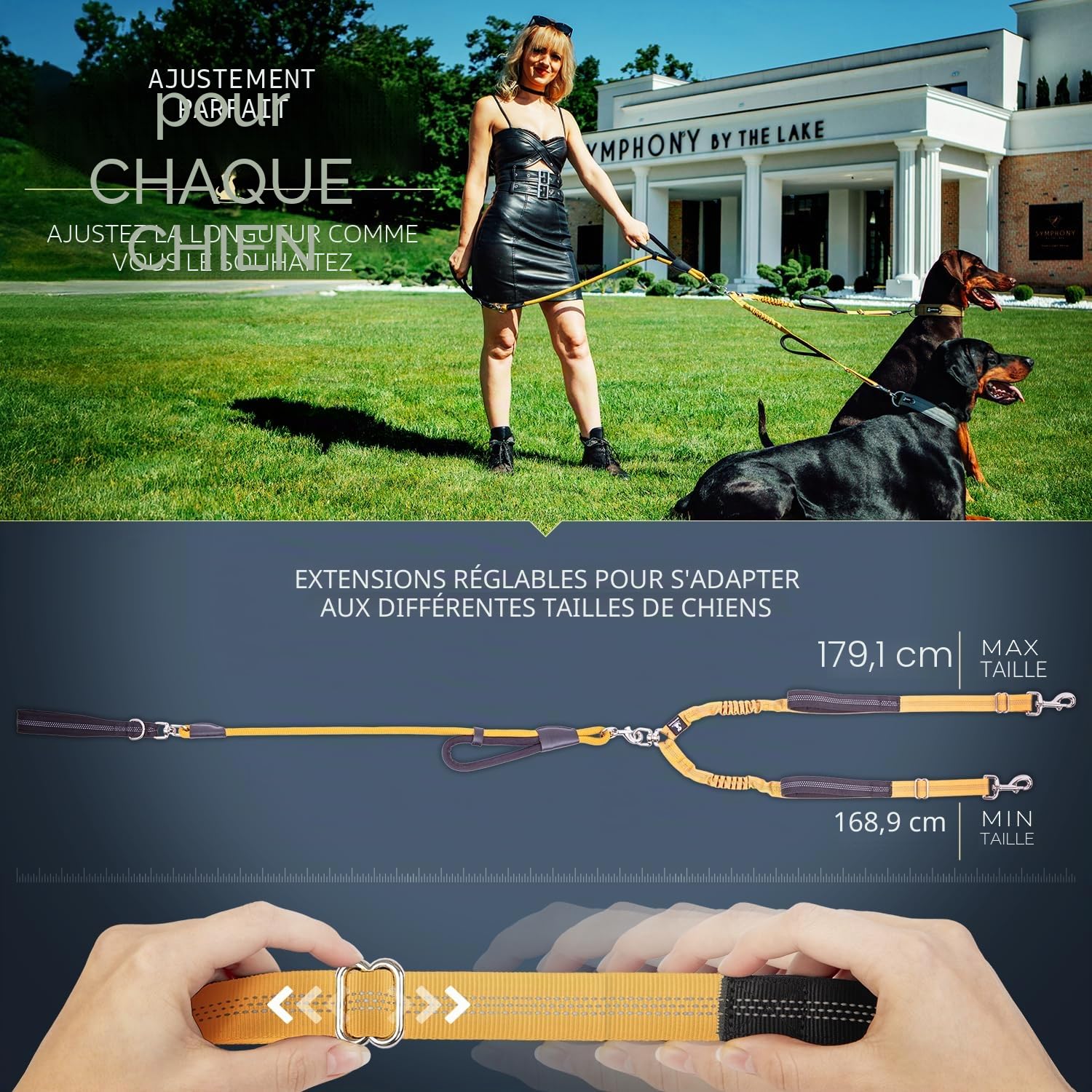 Laisse Double de qualité supérieure pour Deux Chiens - Absorption des Chocs et Anti-Traction - Double Laisse pour Chiens de Taille Moyenne et Grande avec Double Attache réglable pour 2 Chiens