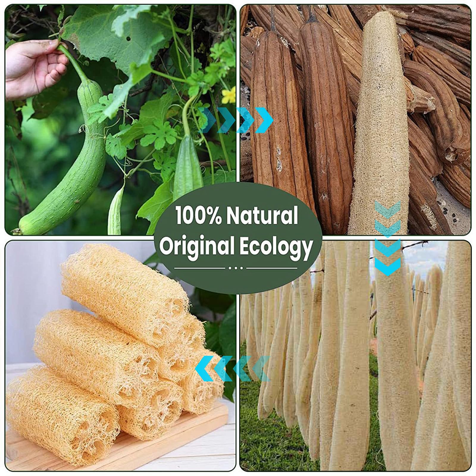 O2frepak Zestaw 6 naturalnych gąbek luffy, organiczna gąbka do łazienki, prysznica i czyszczenia kuchni