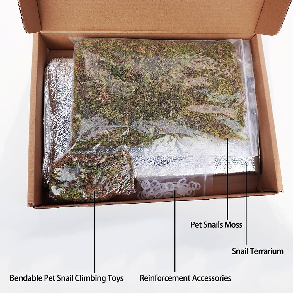 Amazon.com : Begeterday Snail Terrarium Kit, Include 11.22