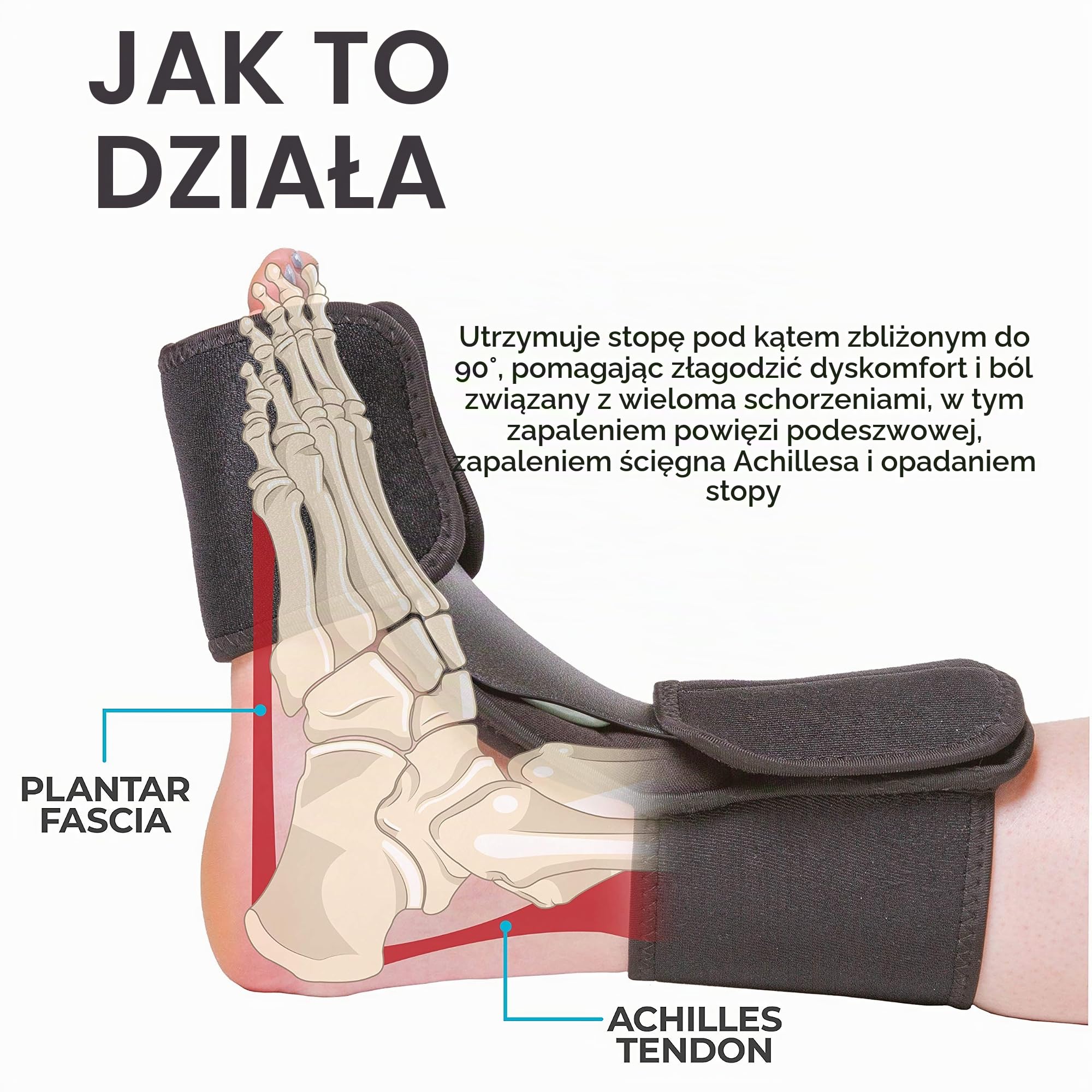Dorsal Night Splint for Foot Drop & Plantar Fasciitis-L/XL by BraceAbility