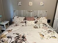 Review Image by Keely Keely