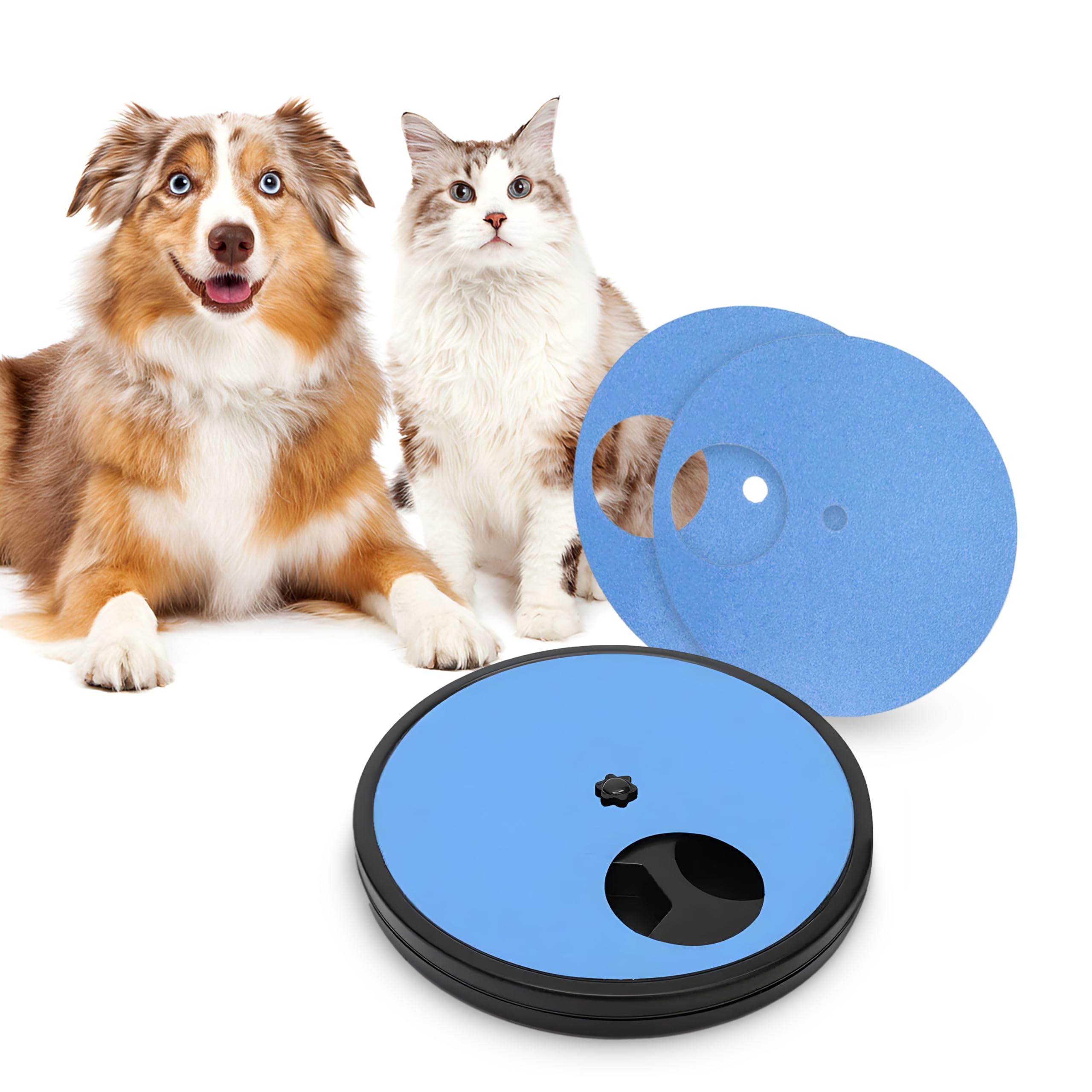 Rotatable Cat & Dog Scratch Pad for Nails | Stress Free Dog Scratcher | Dog Nail Scratch Board with 6 Treat Box & 2 Extra Sandpapers | Small Medium Cats & Dogs Nail File Toy | Dog Nail Grinder (Blue)