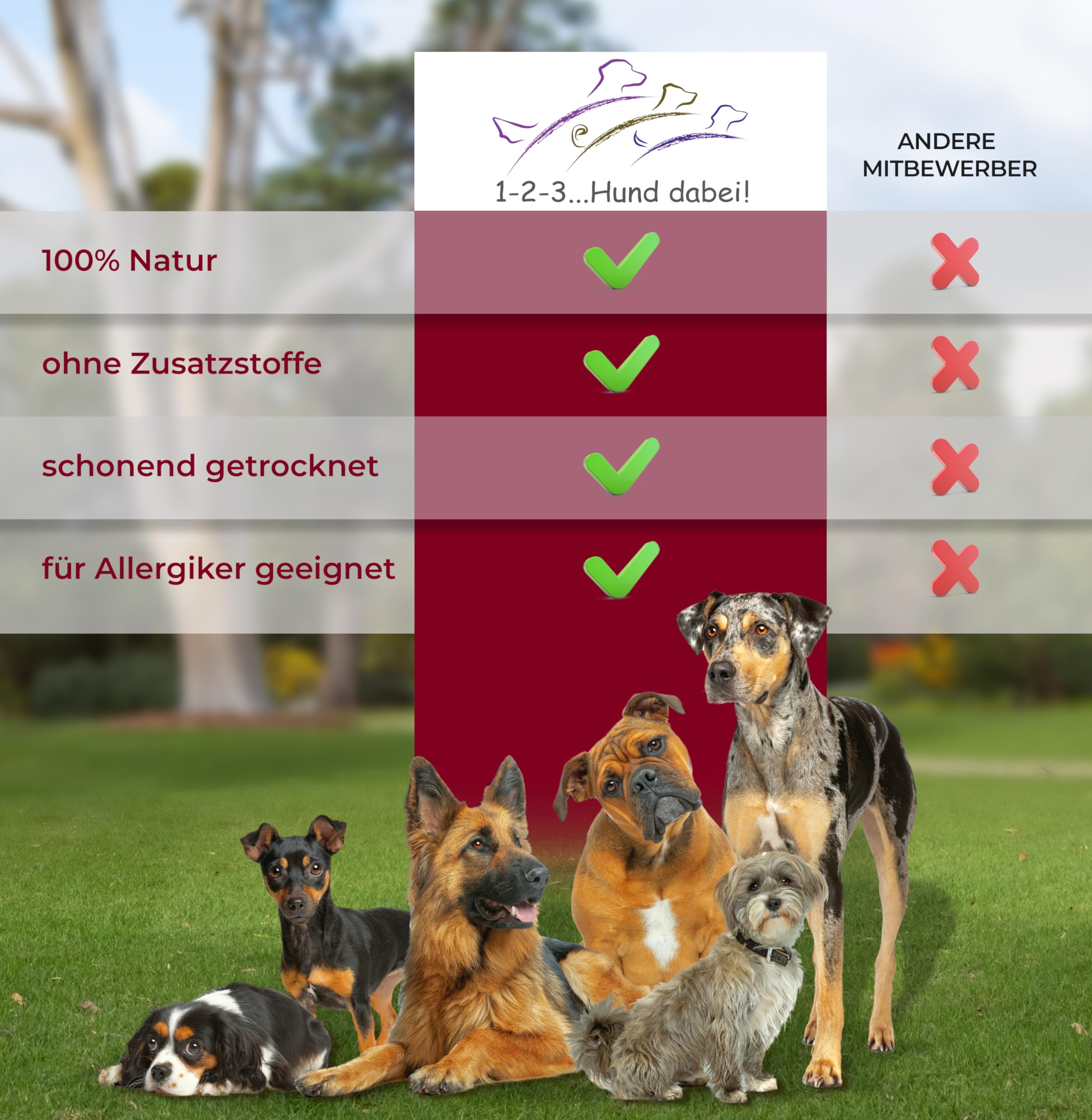 123...Hund dabei! - Büffel-Lunge 3kg, Rinderlunge XXL-Pack, fettarm, getrocknetes Rindfleisch, schonend getrocknet, Kauartikel vom Rind (Rinderlunge)