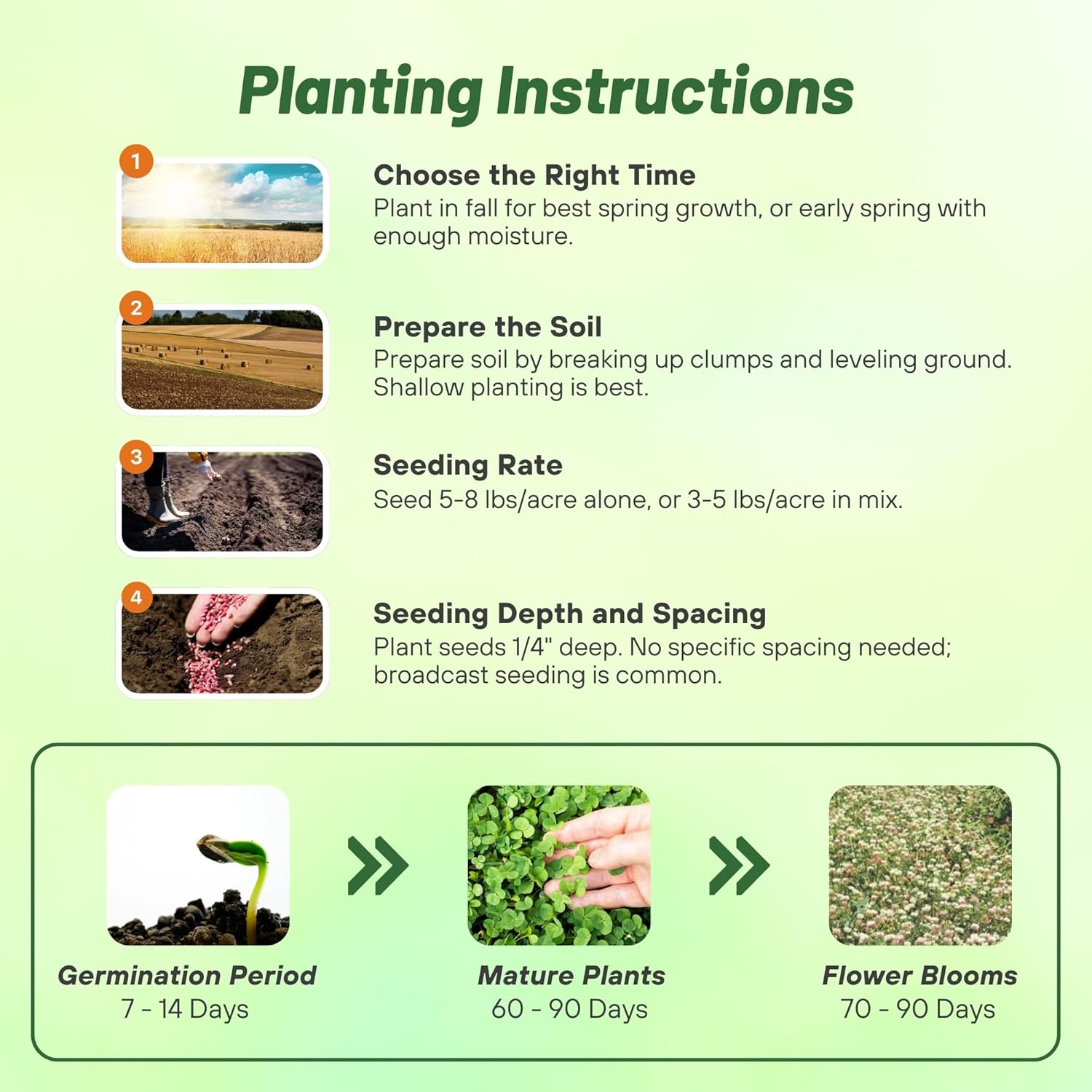 Outsidepride Fixation Balansa Clover Seeds for Lawn - 5 lbs. Coated & Inoculated, Cold Season, Drought Tolerant Cover Crop Seeds, Ideal for Erosion Control, Pasture, & Pollinator-Friendly Garden