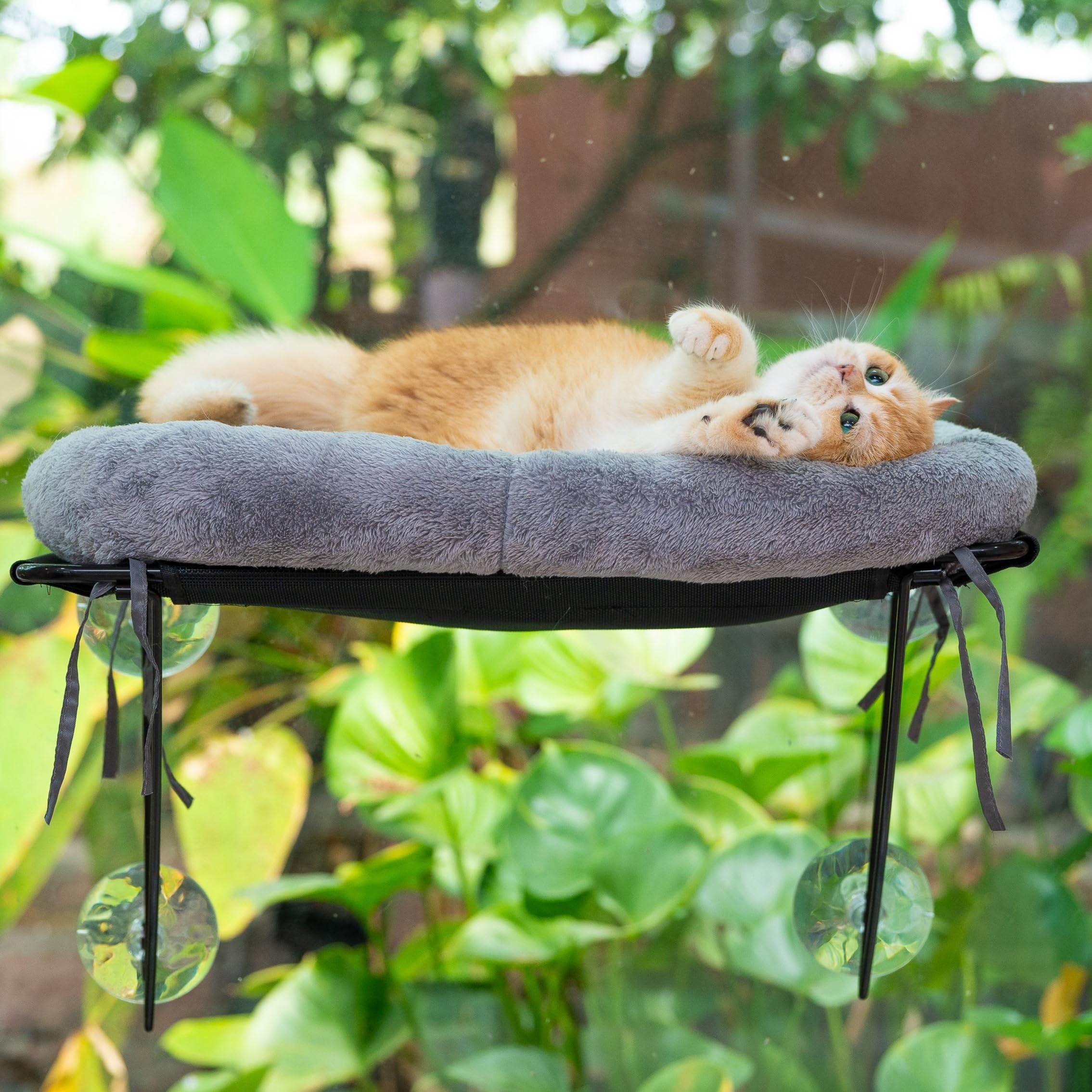 Percha para ventana de gato, hamaca suave para gatos en el interior, ventana de percha para gatos, hamaca para ventana de gato, ventana de cama para gatos, 4 ventosas grandes, cómoda cama con ventana