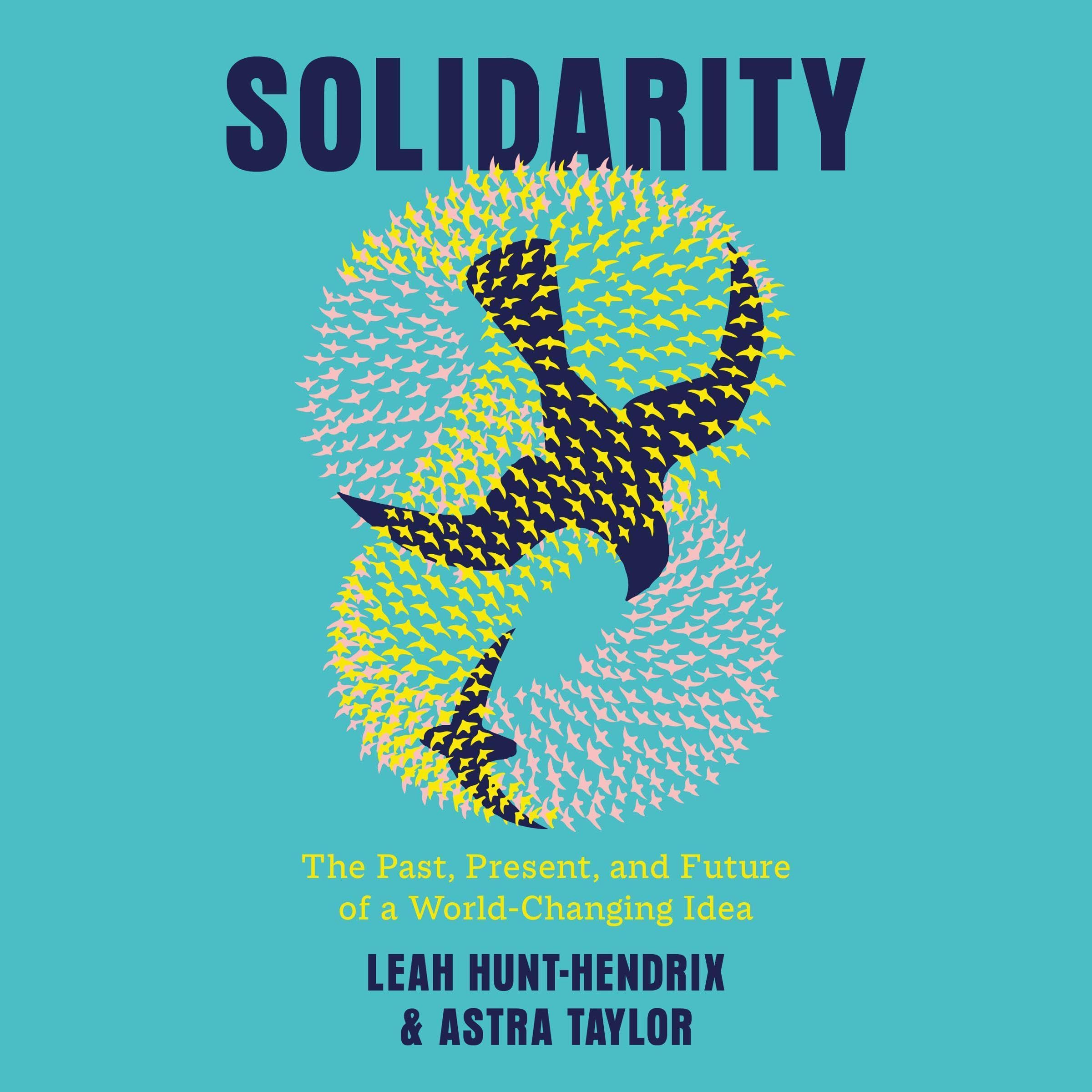 Cover art for Solidarity