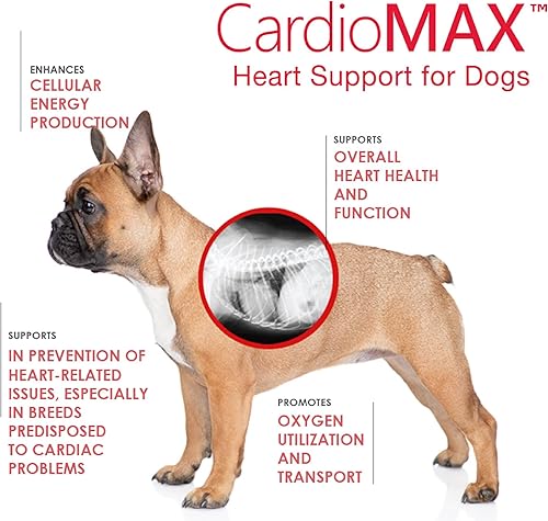 Miniatura 3 de Cardio MAX Suplemento de apoyo cardíaco para perros  L-taurina, L-carnitina, EPA y DHA, coenzima Q10  Ayuda a la fuerza circulatoria, apoyo