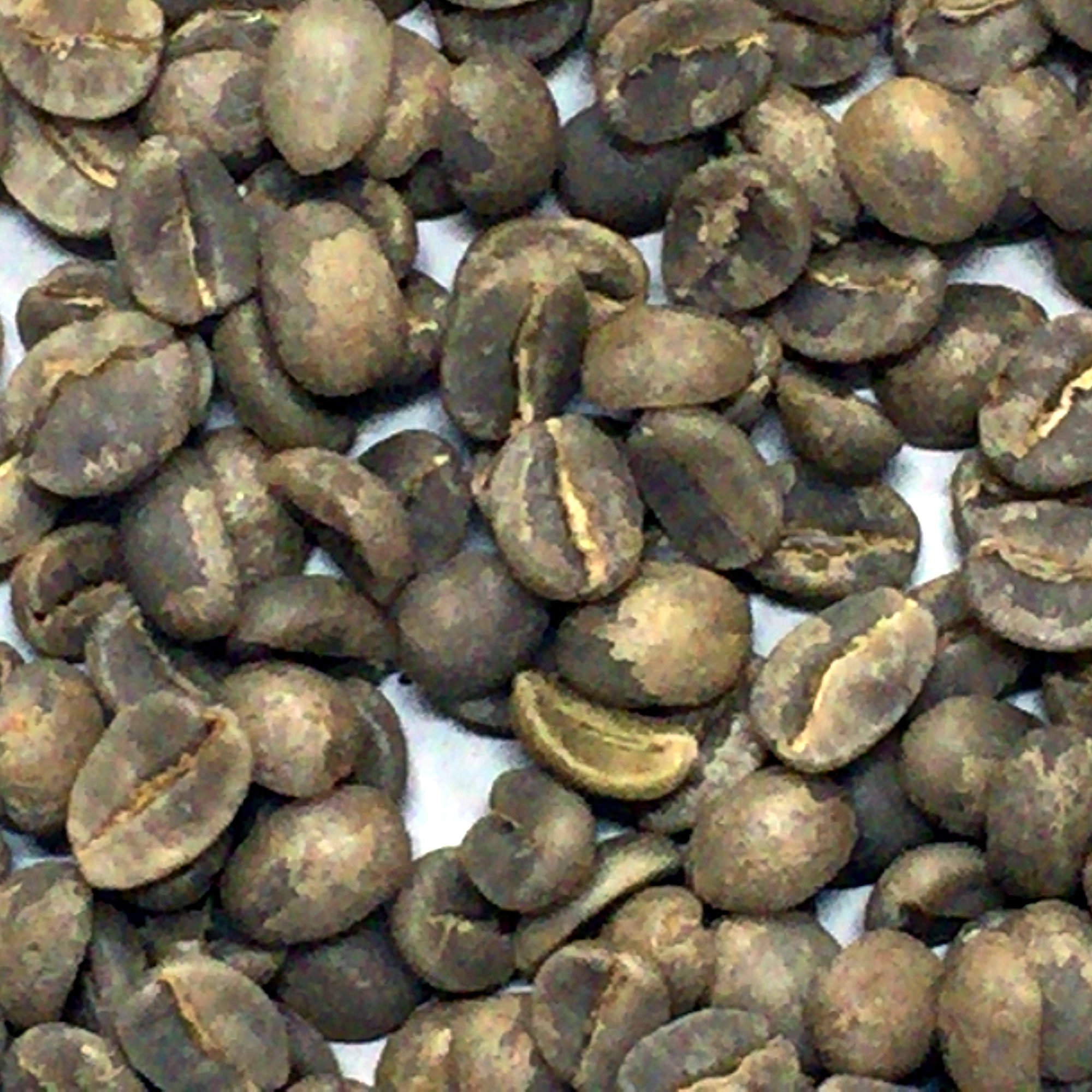 Tanzania Single Origin Green Coffee Beans, Arabica Hand Picked AA Grade (Mbeya, 500g)