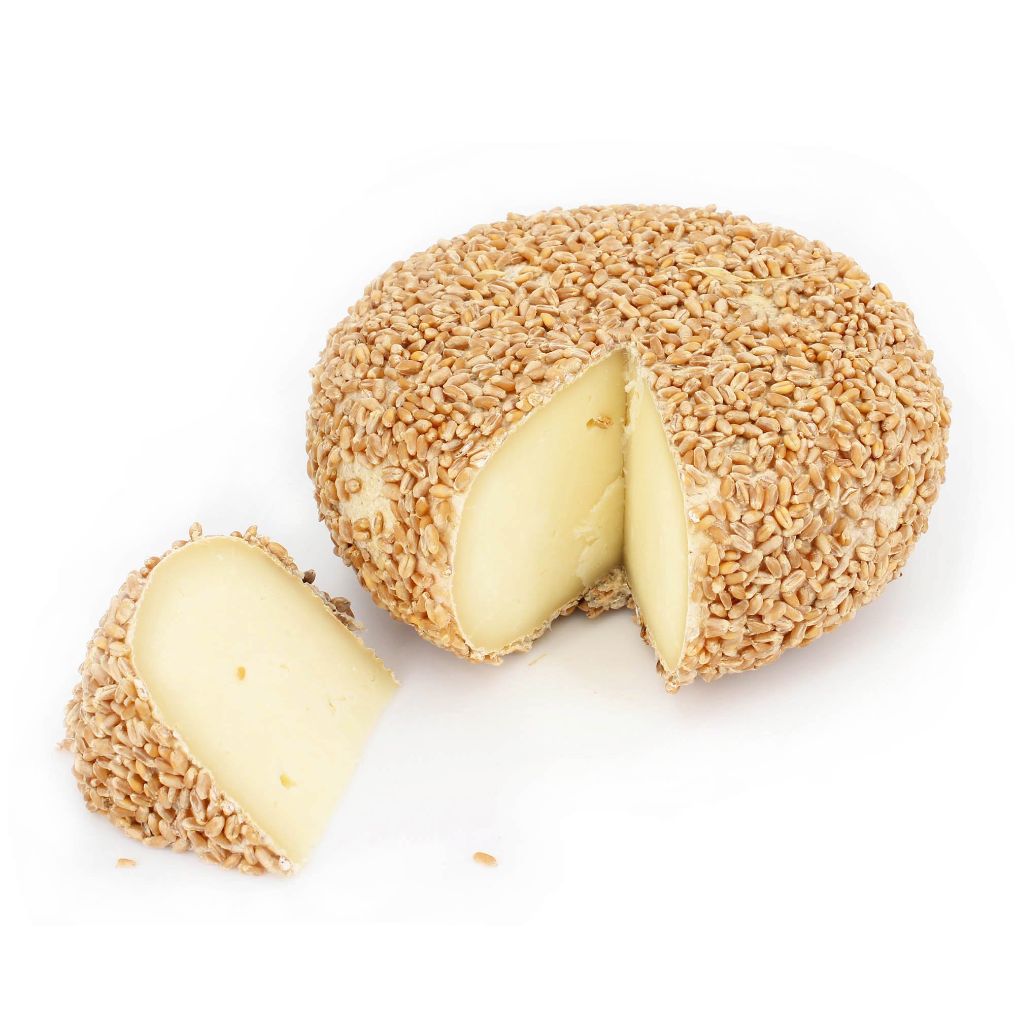 Ganzer Käselaib 1,2 kg - GRANAIO - PECORINO TOSCANO DOP aus CASENTINO - Im WEIZENRINDE gereift - 6 MONATE - Käse aus BERGSCHAFMILCH - Direkt aus Italien