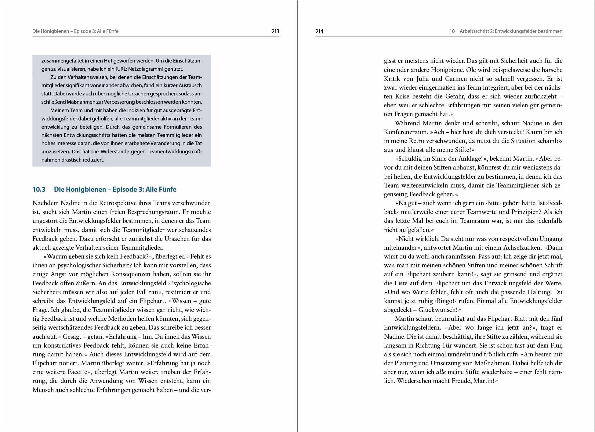 Jedes Team ist anders: Ein Praxisbuch für nachhaltige Teamentwicklung