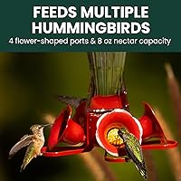 Vista 8 de Perky-Pet 203CPBN Comedero de vidrio para colibríes al aire libre con posaderos, foso de hormigas, protectores de abejas - Paquete de 1