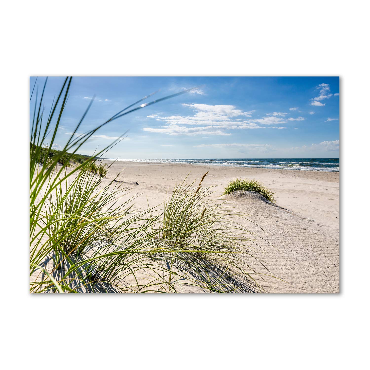 Image sur verre plastique lavable pour mur de cuisine sans taches