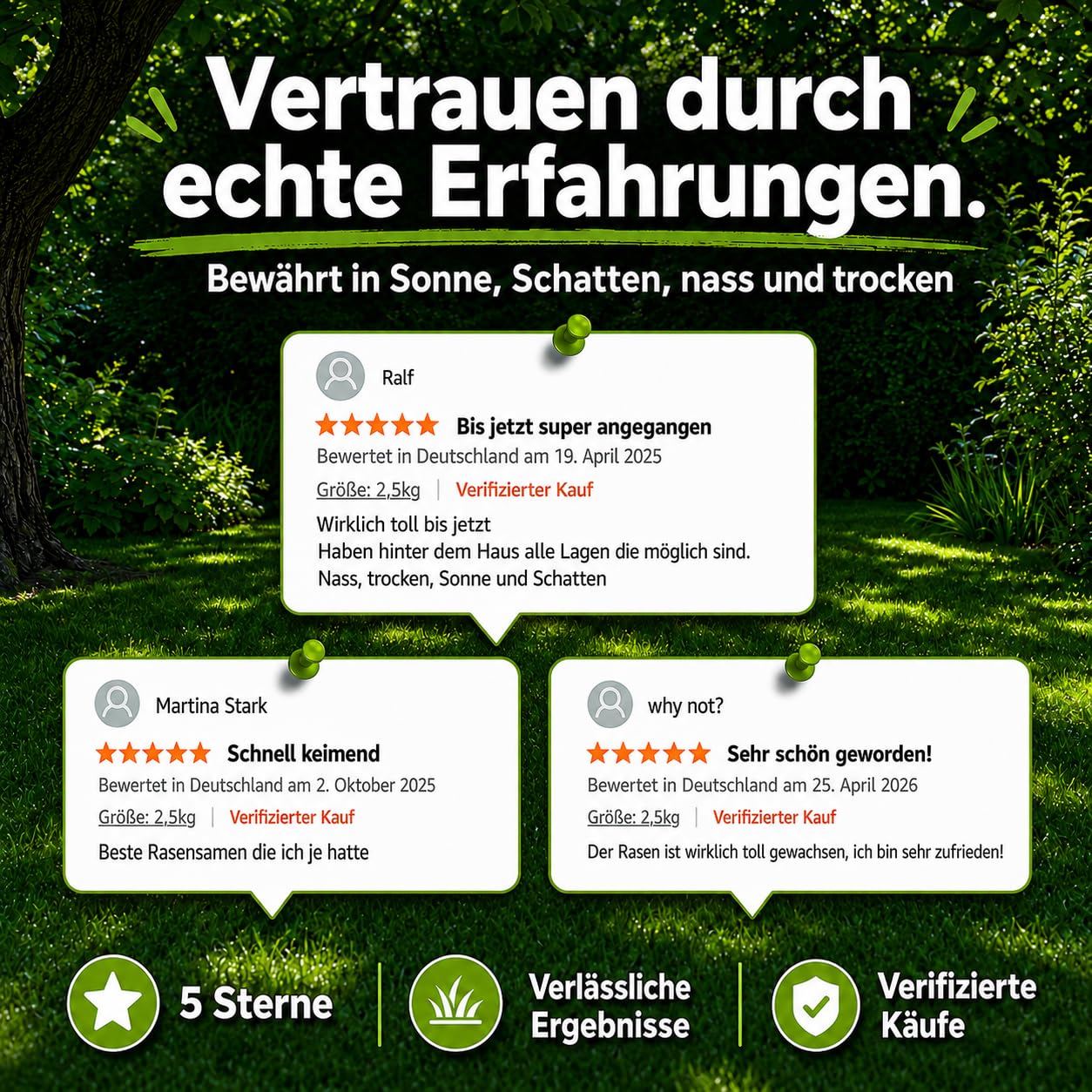 Schattenrasen Samen Rasensamen schnellkeimend Sommer 2,5 kg = 75 m² | Grassamen schnellkeimend für schattige Flächen | für Rasen Nachsaat | SEHR GUT getestet | Inkl. Rasensaat Anleitung