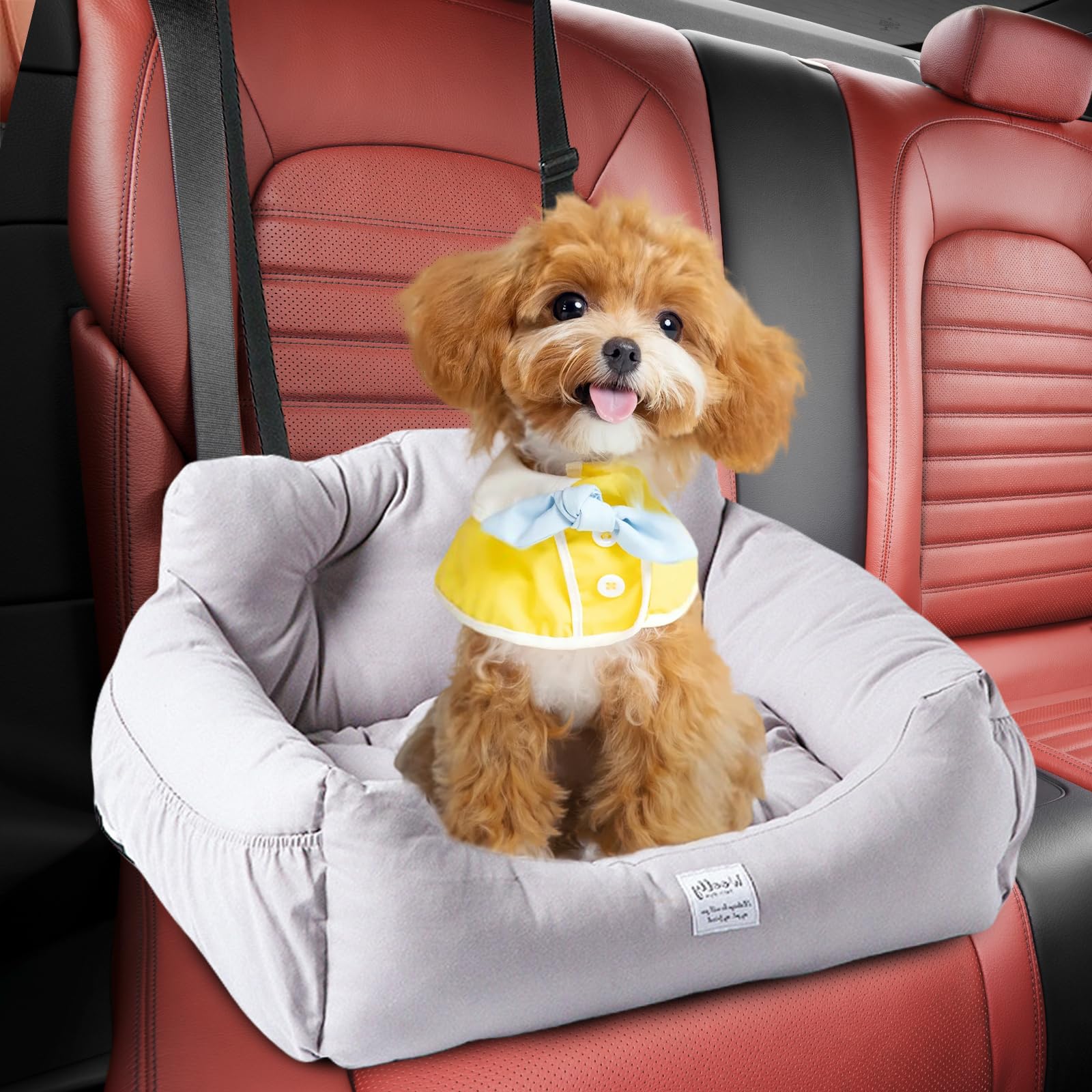 Seggiolino Auto Per Cani Di Taglia Media/Grande - Rialzato, Sicuro E Lavabile - Fino A 22,7 Kg - Foto 3