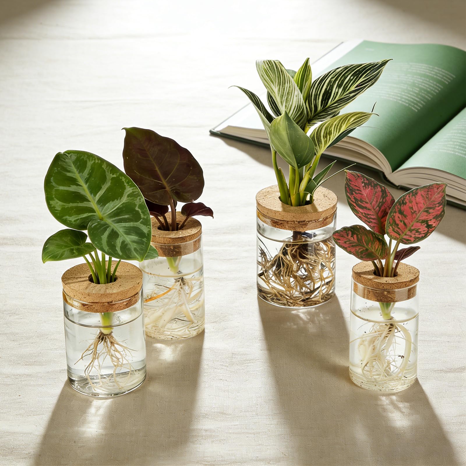 BigKing Terrario hidropónico para plantas de 4 piezas con tapa de madera, juego completo de jardín de botellas, terrario de plantas, vidrio hidropónico para plantas de flores y plantas de interior