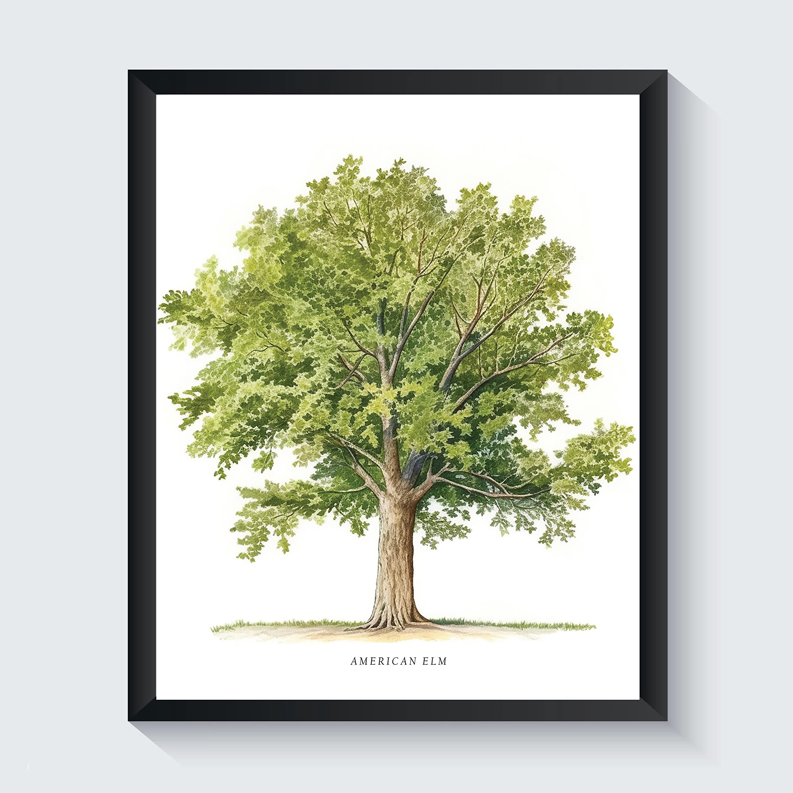 Elm Print