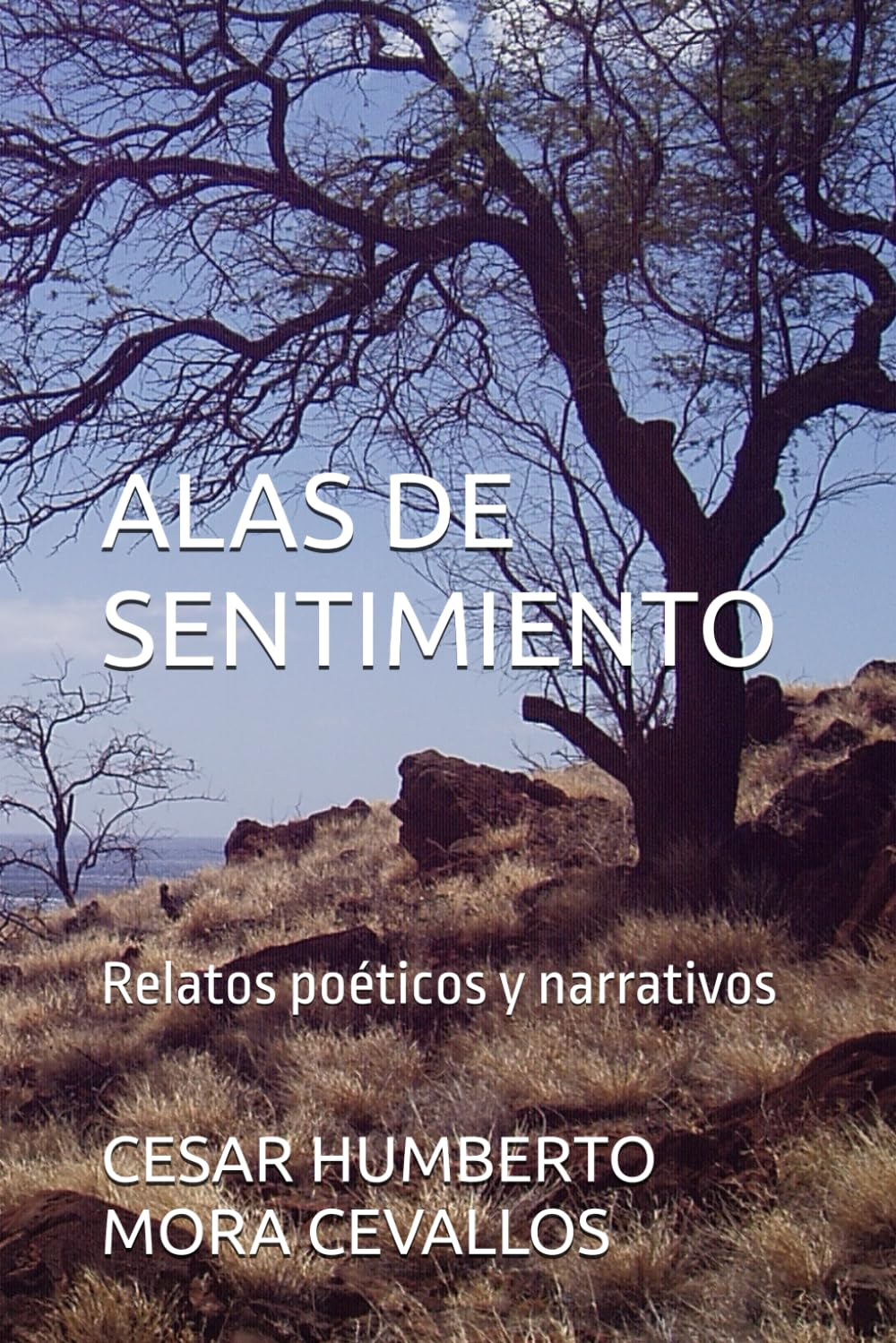 ALAS DE SENTIMIENTO: Relatos poéticos y narrativos