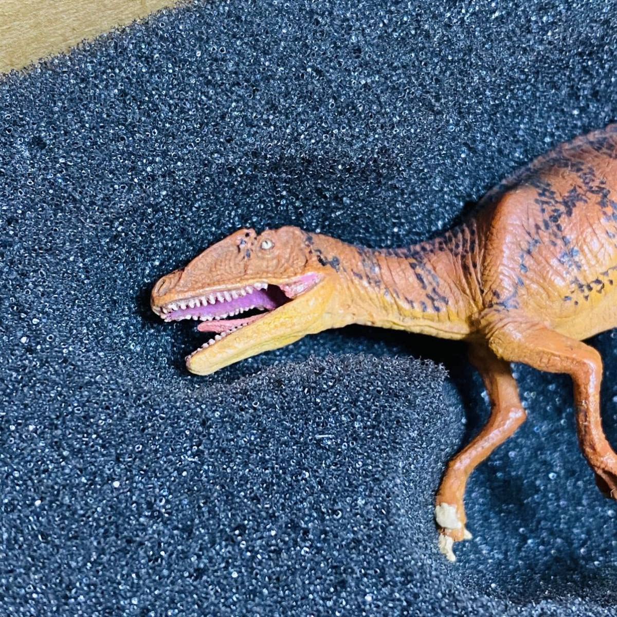 トレトレ KAIYODO Fukuiraptor +1点 Amazon | 【極美品】KAIYODO 海洋堂 荒木一成 オフィシャルモデル 福井